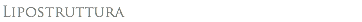 Lipostruttura